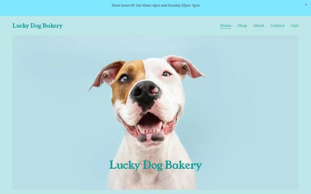 Lucky Dog
