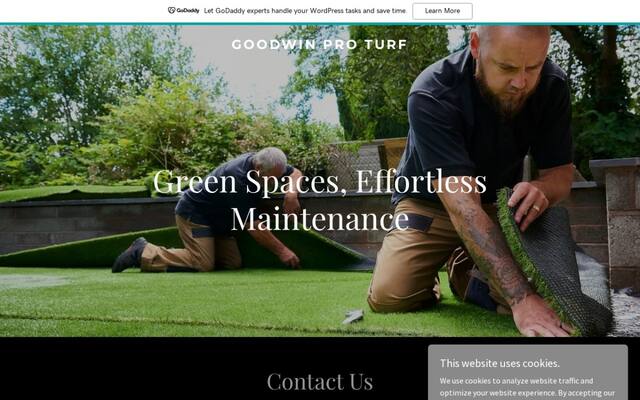 Goodwin Proturf Inc