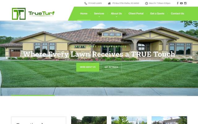 True Turf