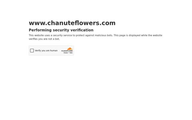 Hans' Flowers