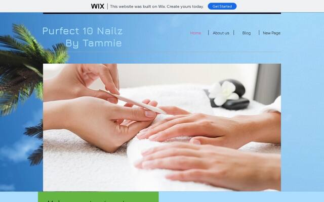 Purfect 10 Nailz by Tammie