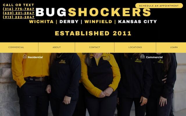Bug Shockers