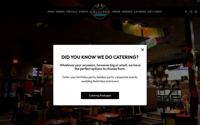 Los Gallitos Fresh Mexican Grill