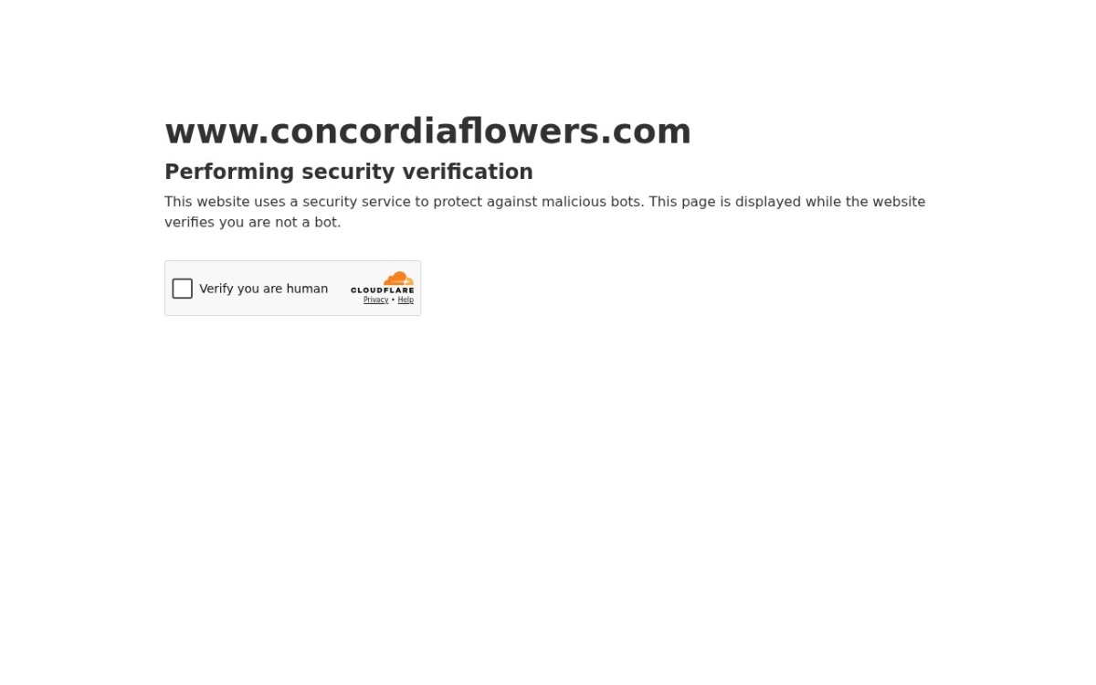 Flower Gallery