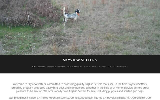 Skyview Setters