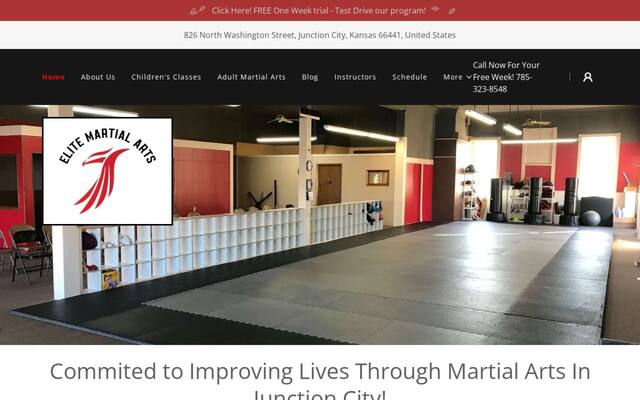 Elite Academy of Martial Arts