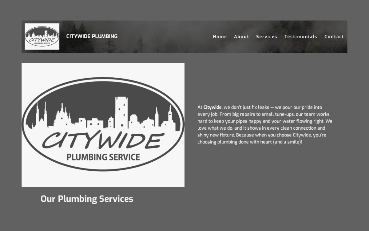 Citywide Plumbing