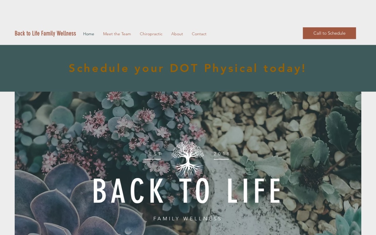 Back to Life Family Wellness