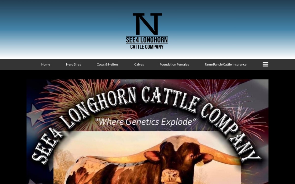 SEE4 Longhorn Cattle Company