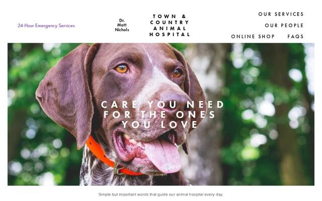 Town & Country Animal Hospital