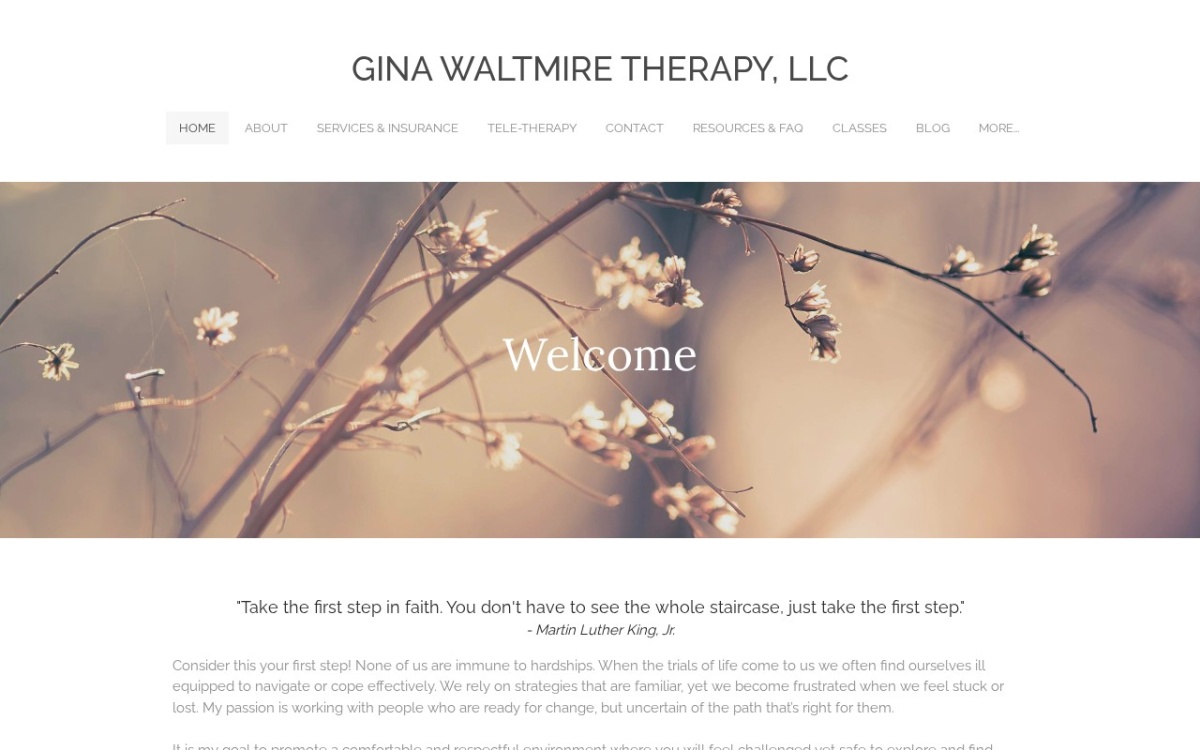 Gina Waltmire Therapy