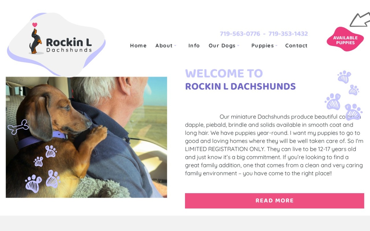 Rockin L Dachshunds