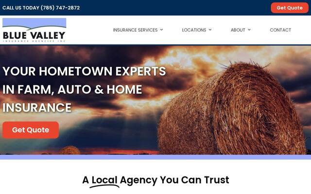Blue Valley Insurance Agencies