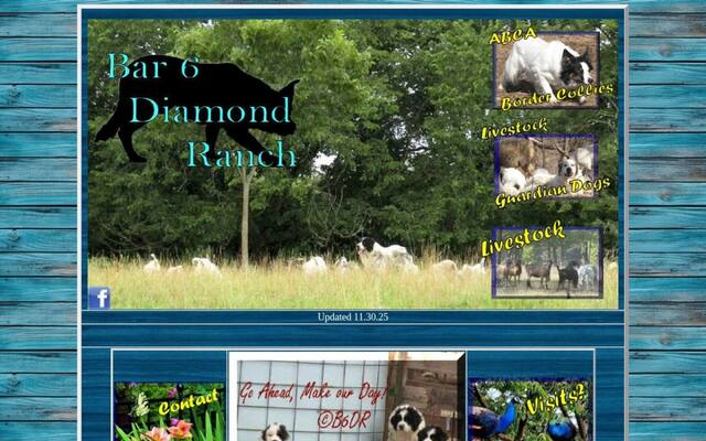 Bar 6 Diamond Ranch