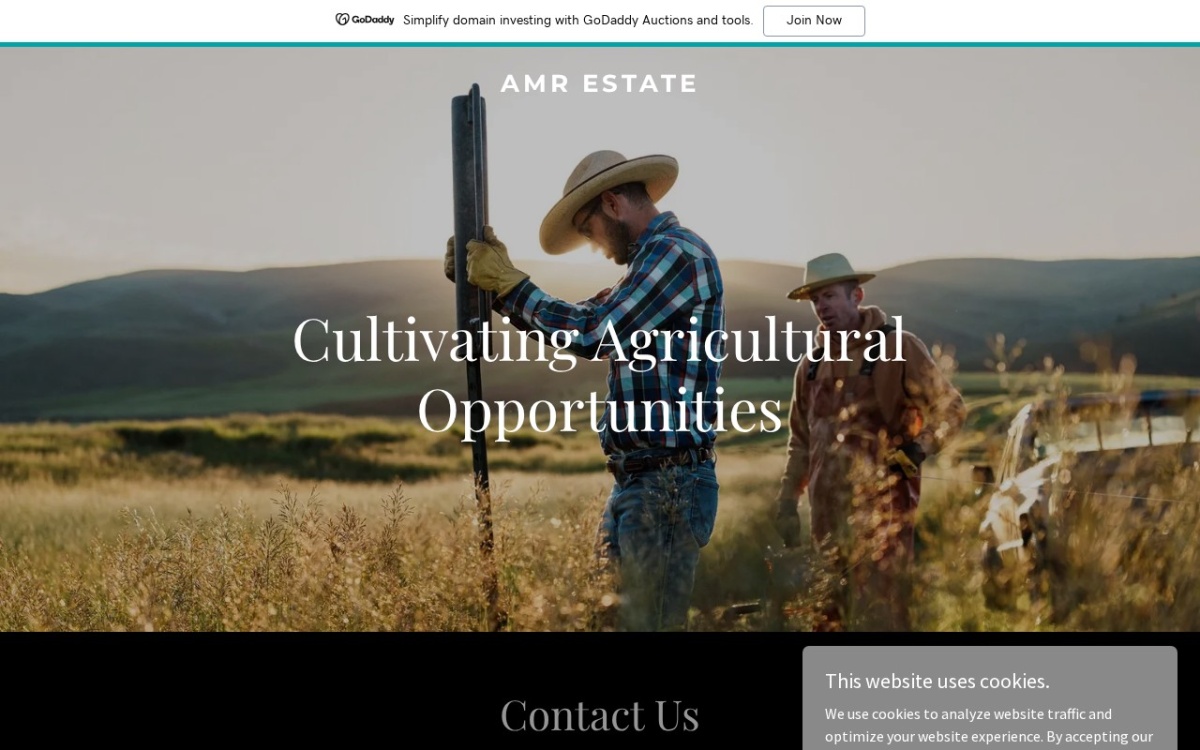 American Real Estate & Investments Inc