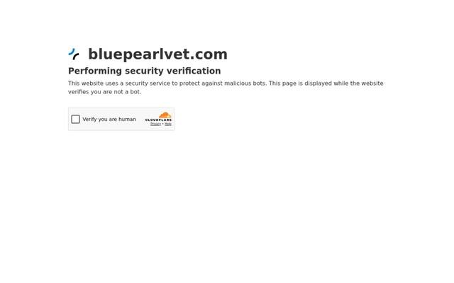 BluePearl