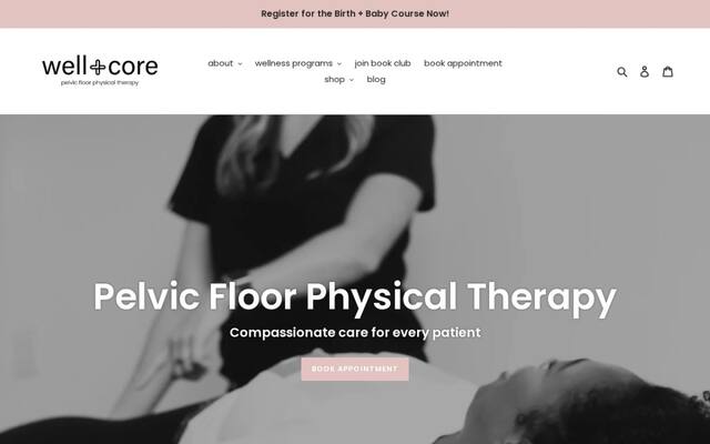 Well Core Physical Therapy