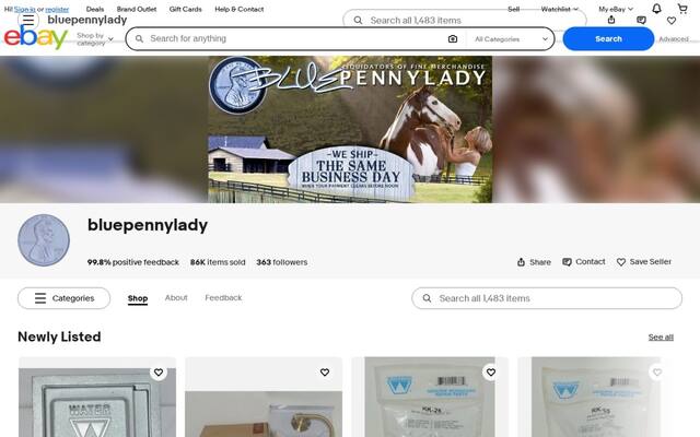Bluepennylady