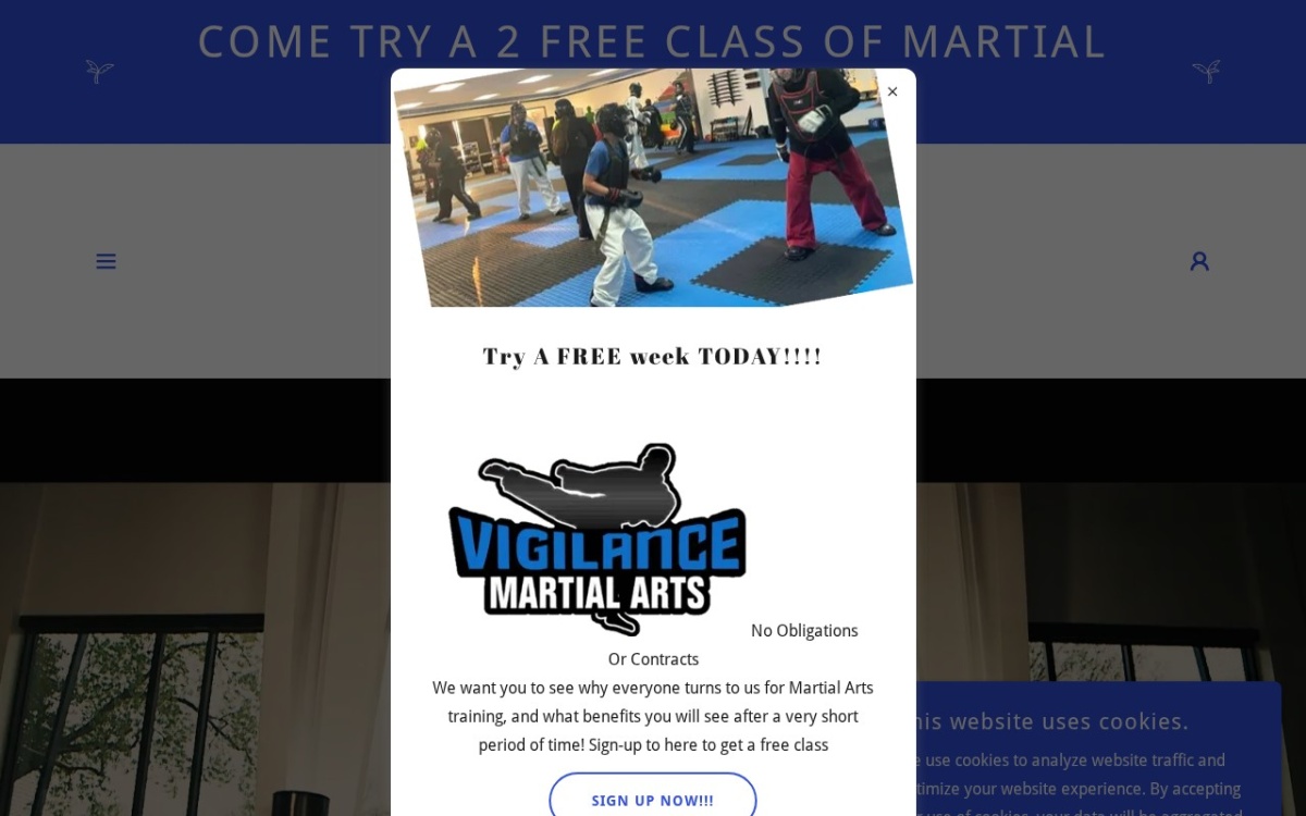 Vigilance Martial Arts - Topeka