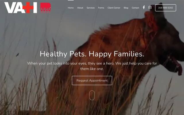 Village Animal Hospital