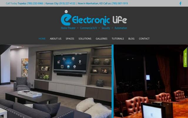 Electronic Life