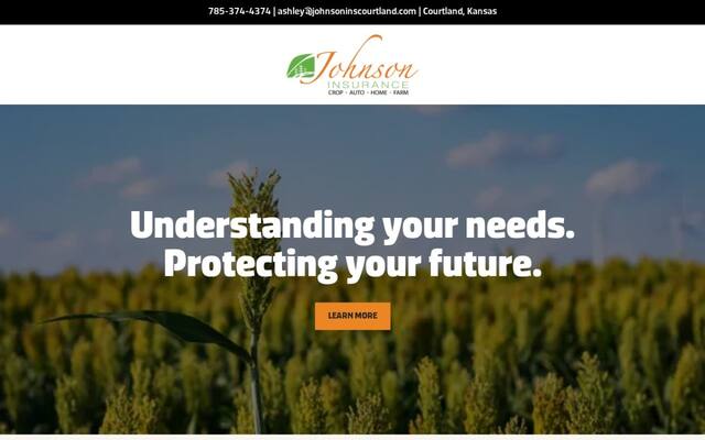 Johnson Insurance
