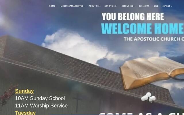 The Apostolic Church