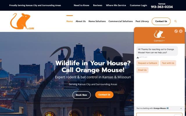 Orange Mouse