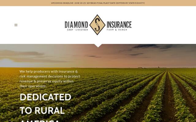 Diamond S Insurance Agency