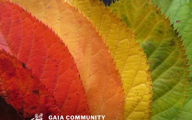 Gaia Community