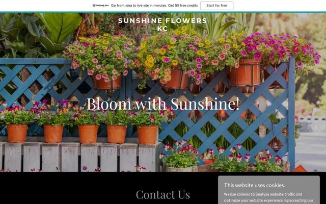 Sunshine Flowers