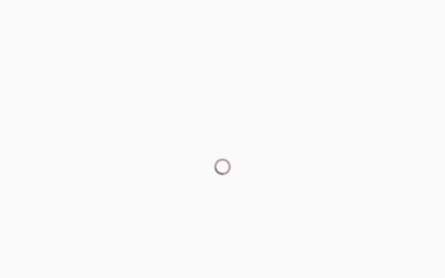 Orchid Brow Studio