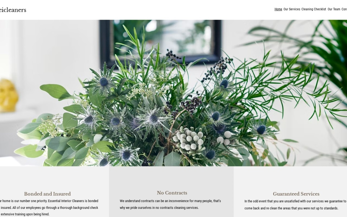 Essential Interior Cleaners