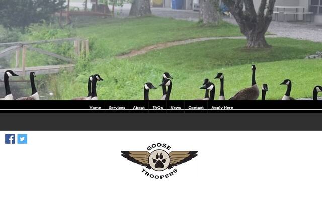 Goose Troopers