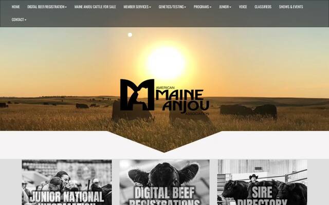 American Maine-Anjou Association
