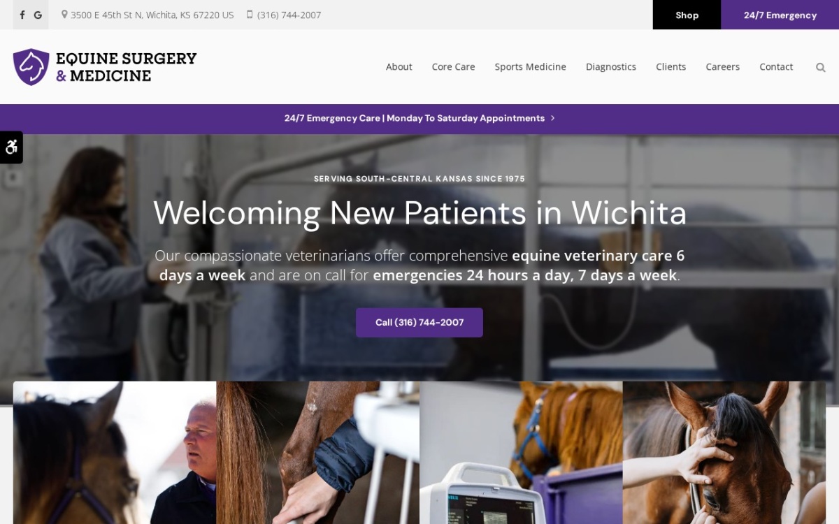 Equine Surgery and Medicine