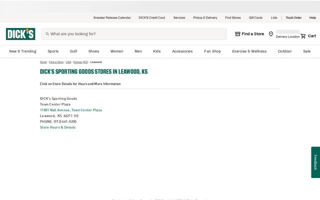 Dick's Sporting Goods