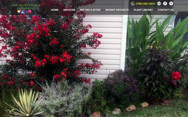 Low Maintenance Landscape