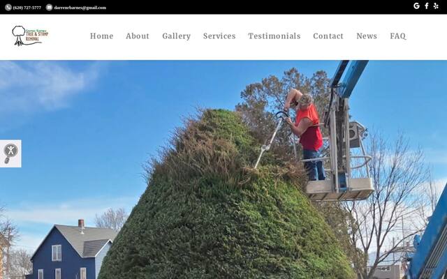 Barnes Tree And Stump Removal