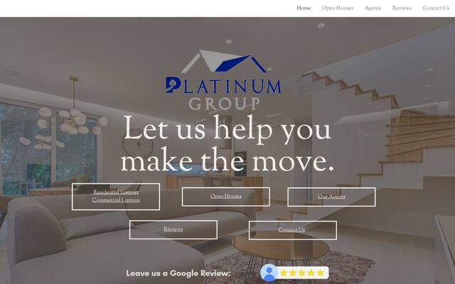 Platinum Group