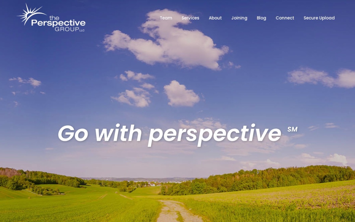 The Perspective Group