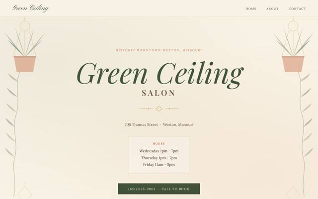 Green Ceiling Salon