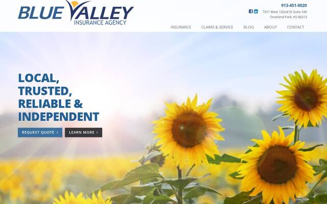 Blue Valley Insurance Agency