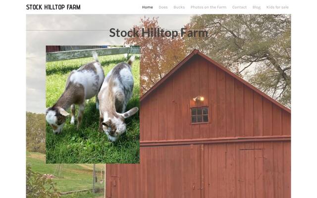 Stock Hilltop Farm Art Classes