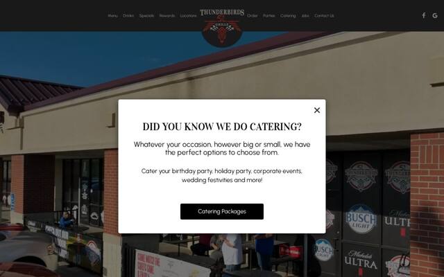Thunderbirds Grille