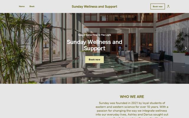 Sunday Wellness and Support
