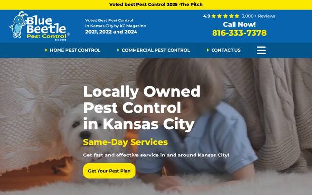 Blue Beetle Pest Control