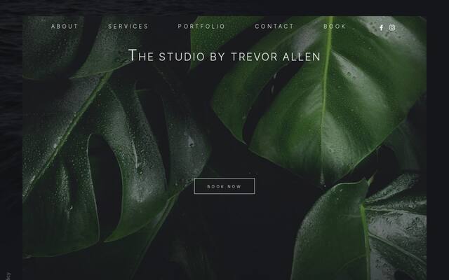 Trevor Allen Hair