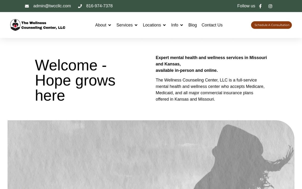 The Wellness Counseling Center