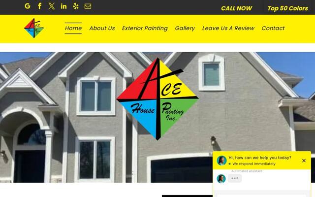 Ace House Painting